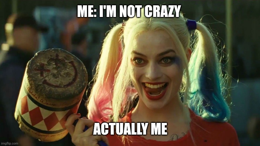 Harley Quinn hammer | ME: I'M NOT CRAZY; ACTUALLY ME | image tagged in harley quinn hammer | made w/ Imgflip meme maker