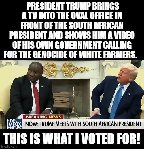 This is what I voted for! | image tagged in president trump | made w/ Imgflip meme maker