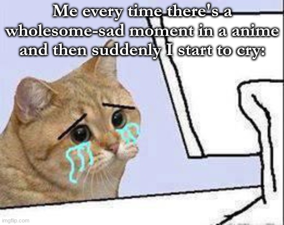 Idk if this too relatable or not but this keeps happening to me. | Me every time there's a wholesome-sad moment in a anime and then suddenly I start to cry: | image tagged in cate cat cry,anime,tears,too much,tissue,relatable | made w/ Imgflip meme maker