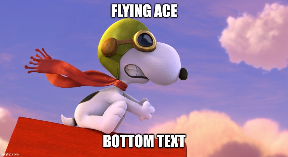 Flying Ace | FLYING ACE BOTTOM TEXT | image tagged in flying ace | made w/ Imgflip meme maker