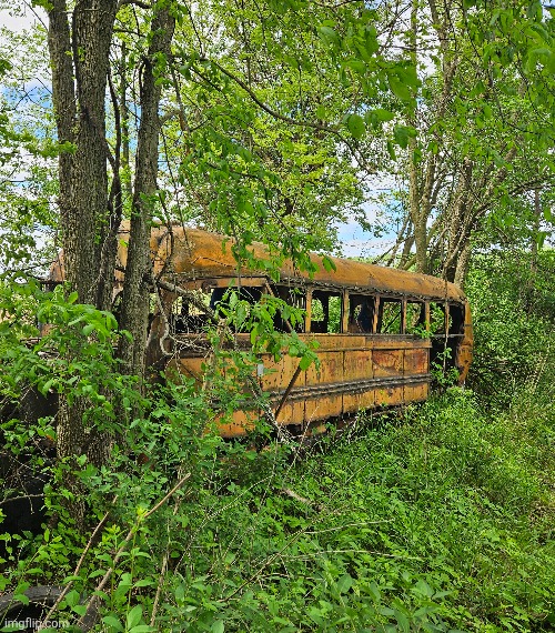 THIS ABANDONED BUS NEXT TO AN ABANDONED SCHOOL IN THE FOREST | image tagged in school bus,school,abandoned,forest | made w/ Imgflip meme maker