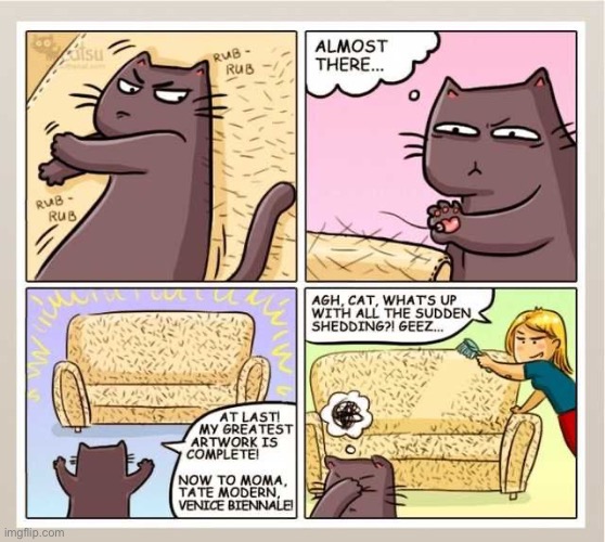 image tagged in cats,shedding,couch,bad kitty | made w/ Imgflip meme maker
