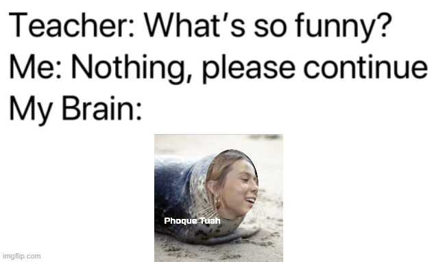 Phoque Tuah | image tagged in teacher what's so funny | made w/ Imgflip meme maker