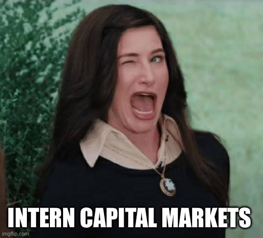 Intern capital markets | INTERN CAPITAL MARKETS | image tagged in memes | made w/ Imgflip meme maker