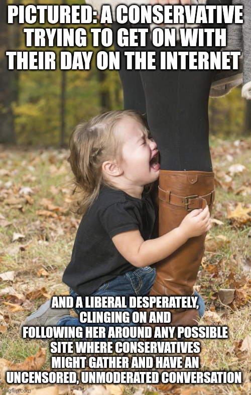 PICTURED: A CONSERVATIVE TRYING TO GET ON WITH THEIR DAY ON THE INTERNET; AND A LIBERAL DESPERATELY, CLINGING ON AND FOLLOWING HER AROUND ANY POSSIBLE SITE WHERE CONSERVATIVES MIGHT GATHER AND HAVE AN UNCENSORED, UNMODERATED CONVERSATION | image tagged in liberal logic | made w/ Imgflip meme maker
