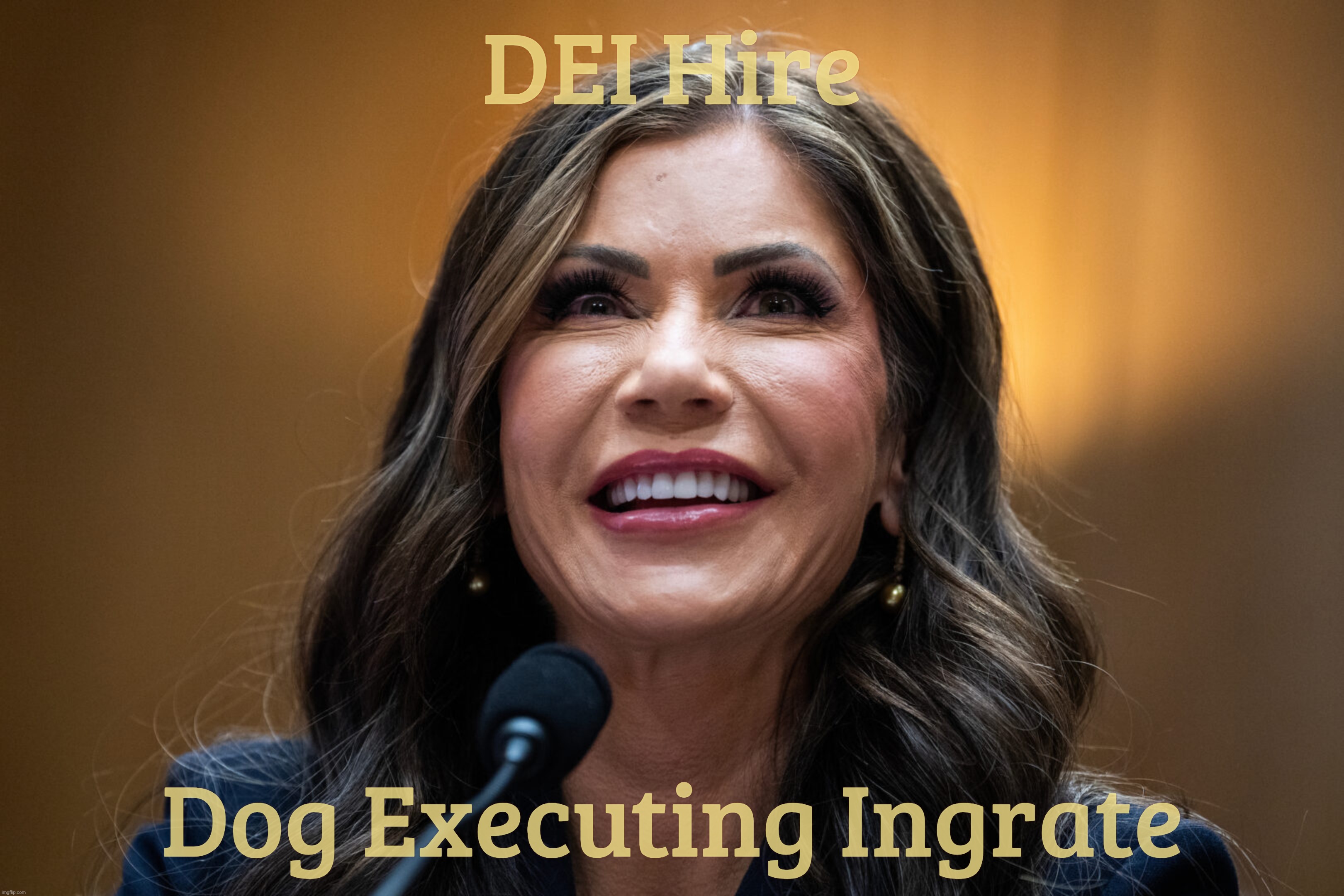 DEI Hire Dog Executing Ingrate | made w/ Imgflip meme maker