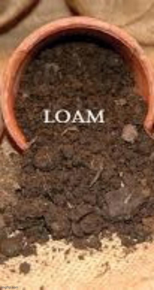 LOAM | image tagged in loam | made w/ Imgflip meme maker