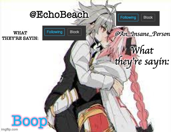 EchoBeach and InsanePerson shared temp :3 | Boop | image tagged in echobeach and insaneperson shared temp 3 | made w/ Imgflip meme maker