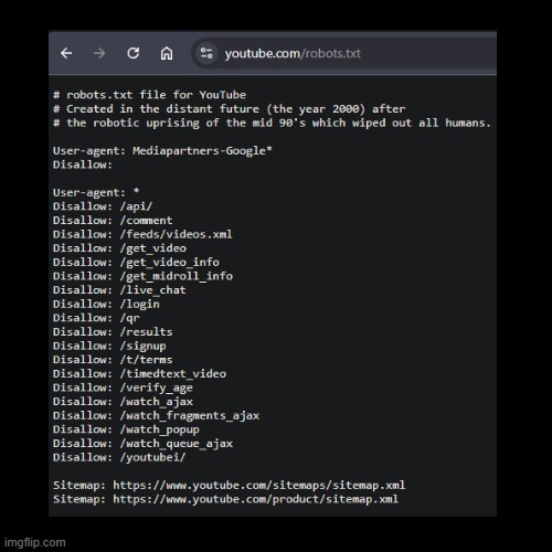 robots.txt | image tagged in youtube,robots,wth | made w/ Imgflip meme maker