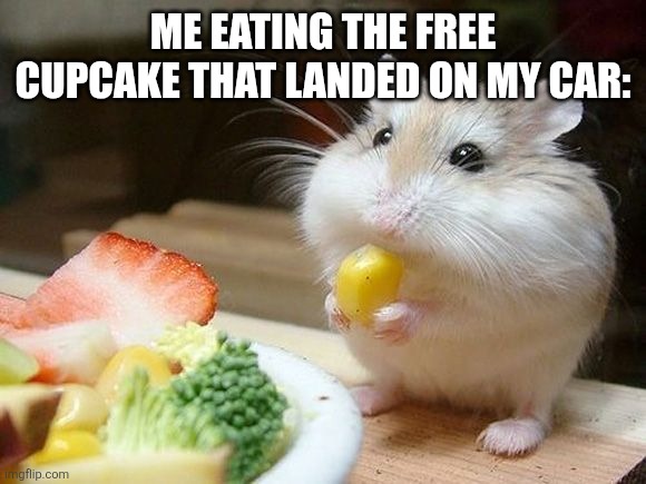 NOM NOM NOM | ME EATING THE FREE CUPCAKE THAT LANDED ON MY CAR: | image tagged in nom nom nom | made w/ Imgflip meme maker