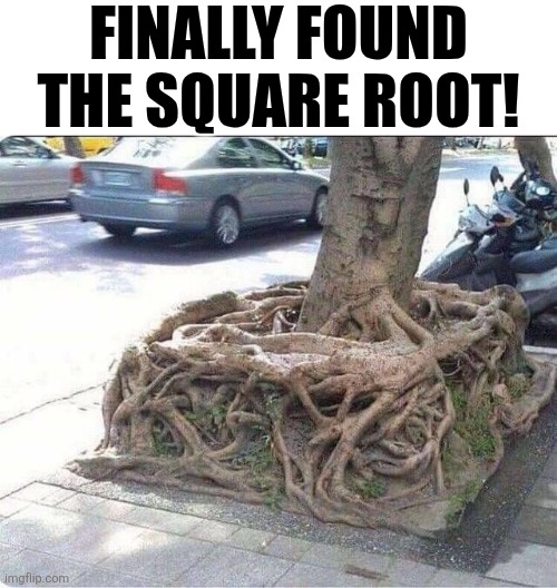 Finally Found The Square Root! | FINALLY FOUND THE SQUARE ROOT! | image tagged in chrisjoines1 | made w/ Imgflip meme maker