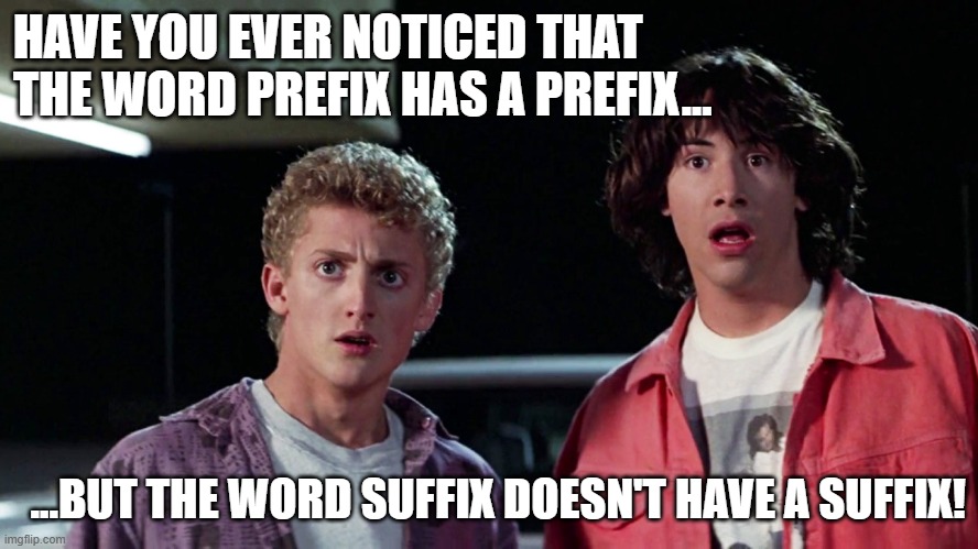 prefix suffix | HAVE YOU EVER NOTICED THAT THE WORD PREFIX HAS A PREFIX... ...BUT THE WORD SUFFIX DOESN'T HAVE A SUFFIX! | image tagged in bill and ted,words | made w/ Imgflip meme maker