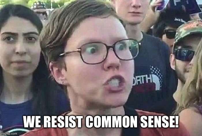 Triggered Liberal | WE RESIST COMMON SENSE! | image tagged in triggered liberal | made w/ Imgflip meme maker