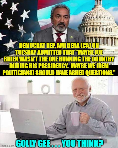 Gosh!  Whatever gave you that idea? | DEMOCRAT REP. AMI BERA (CA) ON TUESDAY ADMITTED THAT “MAYBE JOE BIDEN WASN’T THE ONE RUNNING THE COUNTRY DURING HIS PRESIDENCY.  MAYBE WE (DEM POLITICIANS) SHOULD HAVE ASKED QUESTIONS.”; GOLLY GEE . . . YOU THINK? | image tagged in hide the pain harold | made w/ Imgflip meme maker