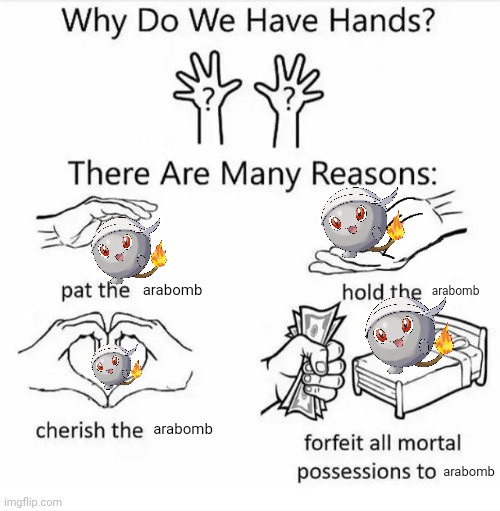 Why do we have hands? (all blank) | arabomb; arabomb; arabomb; arabomb | image tagged in why do we have hands all blank | made w/ Imgflip meme maker