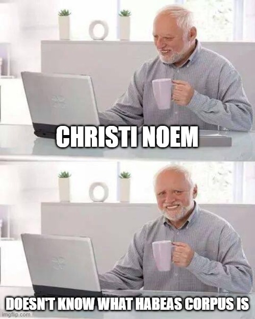 Crazy, BAD CABINET PICKS AS ALWAYS | CHRISTI NOEM; DOESN'T KNOW WHAT HABEAS CORPUS IS | image tagged in memes,hide the pain harold | made w/ Imgflip meme maker