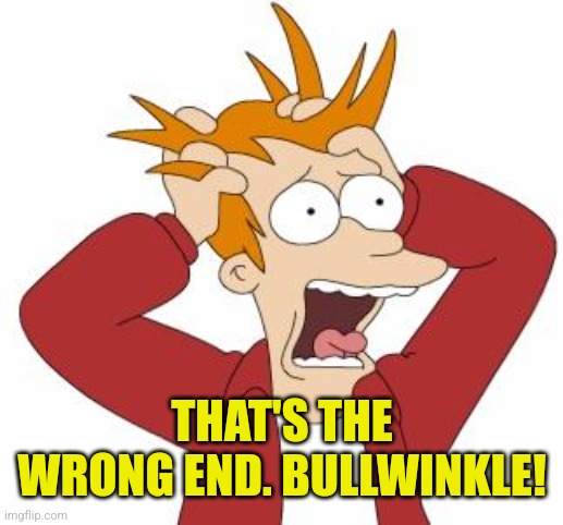 Fry Freaking Out | THAT'S THE WRONG END. BULLWINKLE! | image tagged in fry freaking out | made w/ Imgflip meme maker