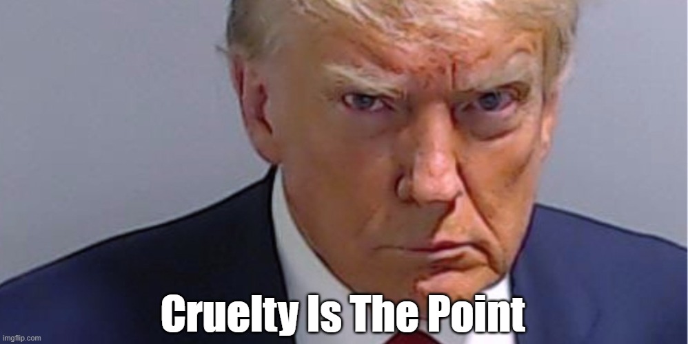 Cruelty Is The Point | Cruelty Is The Point | image tagged in trump,cruelty,malice,malevolence,instigation,bully | made w/ Imgflip meme maker