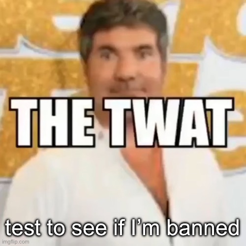the twat | test to see if I’m banned | image tagged in the twat | made w/ Imgflip meme maker