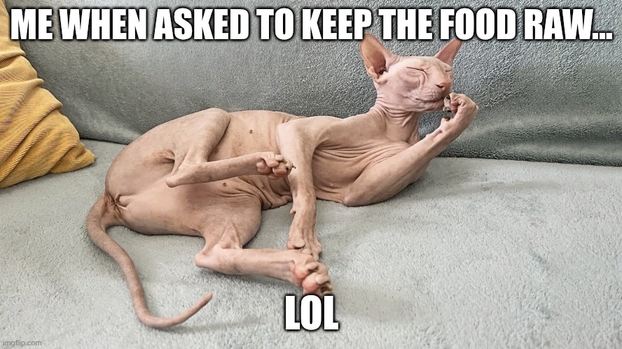 Cooking | ME WHEN ASKED TO KEEP THE FOOD RAW... LOL | image tagged in memes,cooking,grumpy cat | made w/ Imgflip meme maker