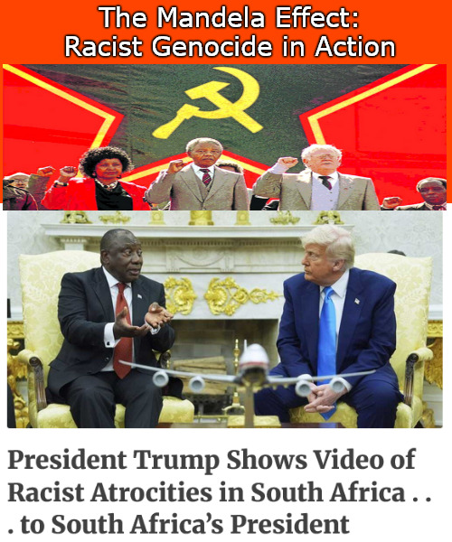 The Mandela Effect: a country sliding from Apartheid to Genocide | The Mandela Effect:
Racist Genocide in Action | image tagged in memes,politics,south africa,trump,white | made w/ Imgflip meme maker