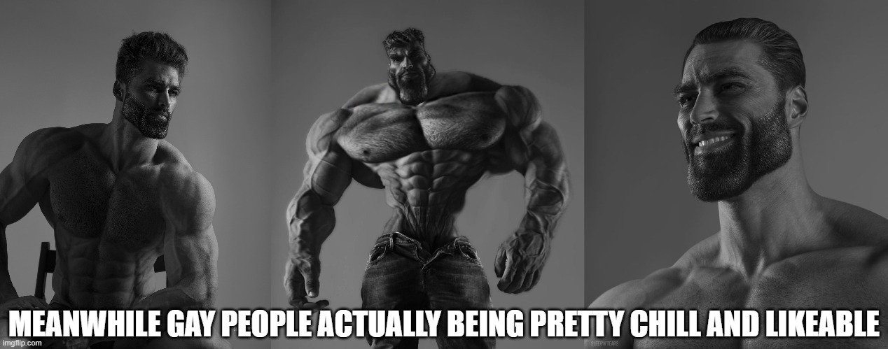 MEANWHILE GAY PEOPLE ACTUALLY BEING PRETTY CHILL AND LIKEABLE | image tagged in giga chad,gigachad | made w/ Imgflip meme maker