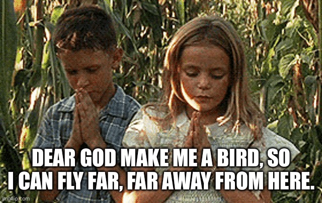 Jenny's prayer | DEAR GOD MAKE ME A BIRD, SO I CAN FLY FAR, FAR AWAY FROM HERE. | image tagged in jenny's prayer | made w/ Imgflip meme maker