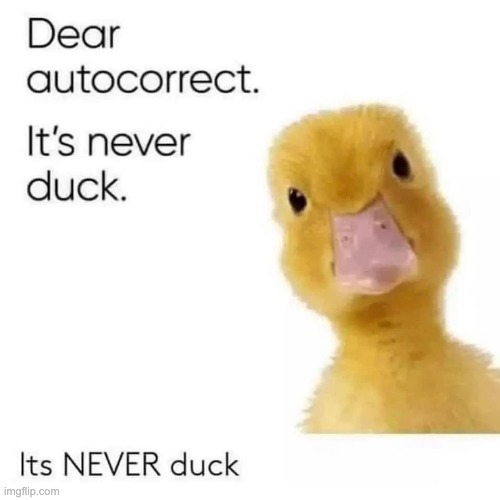 Dear autocorrect it’s never duck | image tagged in dear autocorrect it s never duck | made w/ Imgflip meme maker
