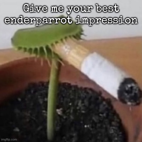 plant weeds | Give me your best enderparrot impression | image tagged in plant weeds,msmg | made w/ Imgflip meme maker