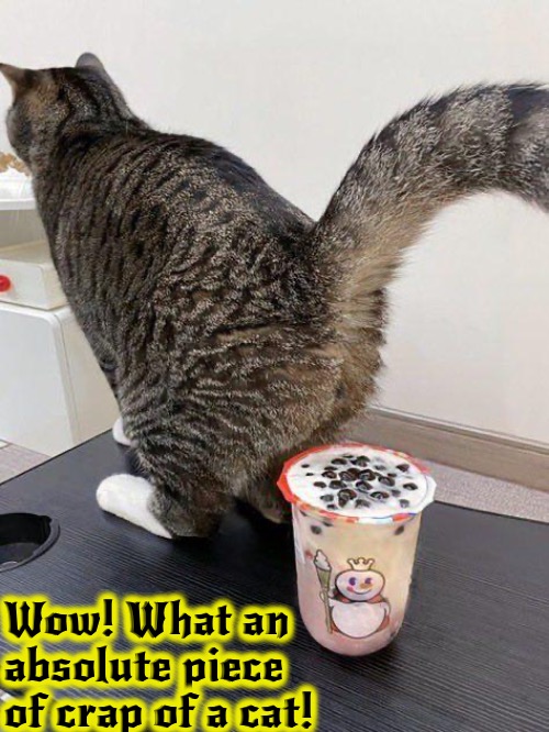 Never Leave Your Drinks Unattended | Wow! What an absolute piece of crap of a cat! | image tagged in cats,funny cat memes,wow,piece of crap,funny memes,brazen | made w/ Imgflip meme maker