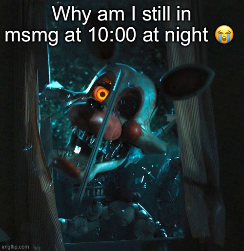 Why am I still in msmg at 10:00 at night 😭 | image tagged in mangle | made w/ Imgflip meme maker