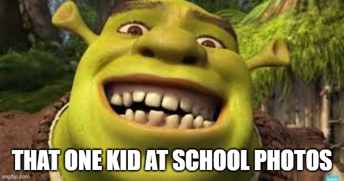 One School Kid | THAT ONE KID AT SCHOOL PHOTOS | image tagged in shrek sexy face | made w/ Imgflip meme maker