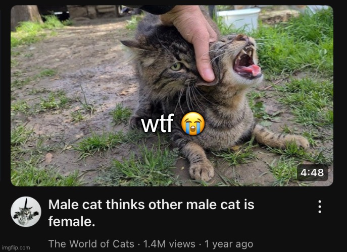 wtf 😭 | made w/ Imgflip meme maker