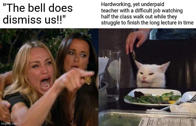 the bell really doesn't dismiss you | Hardworking, yet underpaid teacher with a difficult job watching half the class walk out while they struggle to finish the long lecture in time; "The bell does dismiss us!!" | image tagged in memes,woman yelling at cat,not ragebait | made w/ Imgflip meme maker