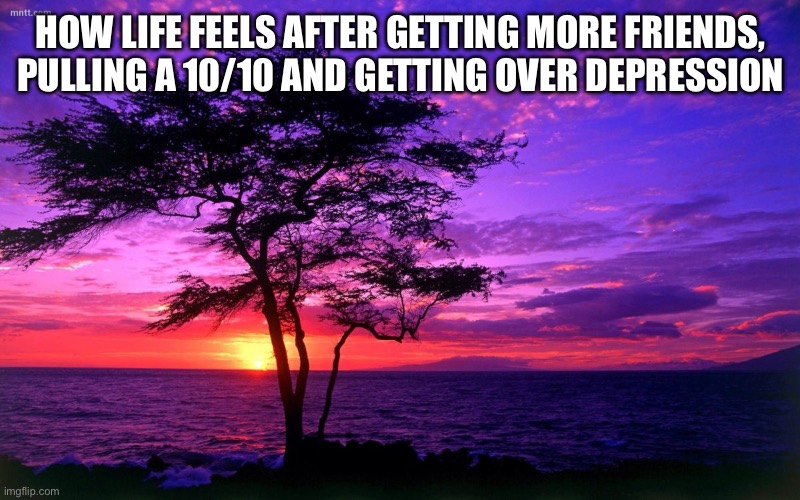 Imma post some more wholesome content | HOW LIFE FEELS AFTER GETTING MORE FRIENDS, PULLING A 10/10 AND GETTING OVER DEPRESSION | image tagged in sunrise purple beauty | made w/ Imgflip meme maker