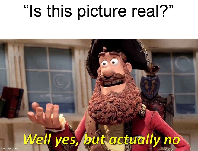 Well Yes, But Actually No | “Is this picture real?” | image tagged in memes,well yes but actually no | made w/ Imgflip meme maker