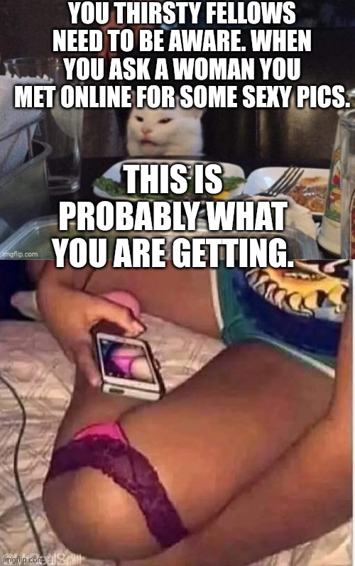 YOU THIRSTY FELLOWS NEED TO BE AWARE. WHEN YOU ASK A WOMAN YOU MET ONLINE FOR SOME SEXY PICS. THIS IS PROBABLY WHAT YOU ARE GETTING. | image tagged in smudge that darn cat | made w/ Imgflip meme maker