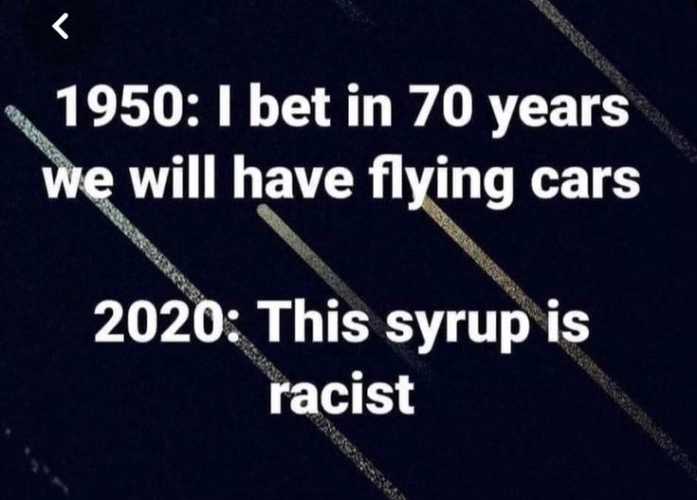 If they're so oppressed then how did they get something this miniscule obliterated | image tagged in liberal logic,liberal hypocrisy,liberal privilege,oppression,maple syrup,2020 | made w/ Imgflip meme maker