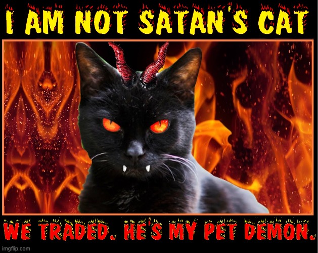 My Cat Blackie goes Full Evil | image tagged in vince vance,black cat,devil,satan,demon cat,funny cat memes | made w/ Imgflip meme maker