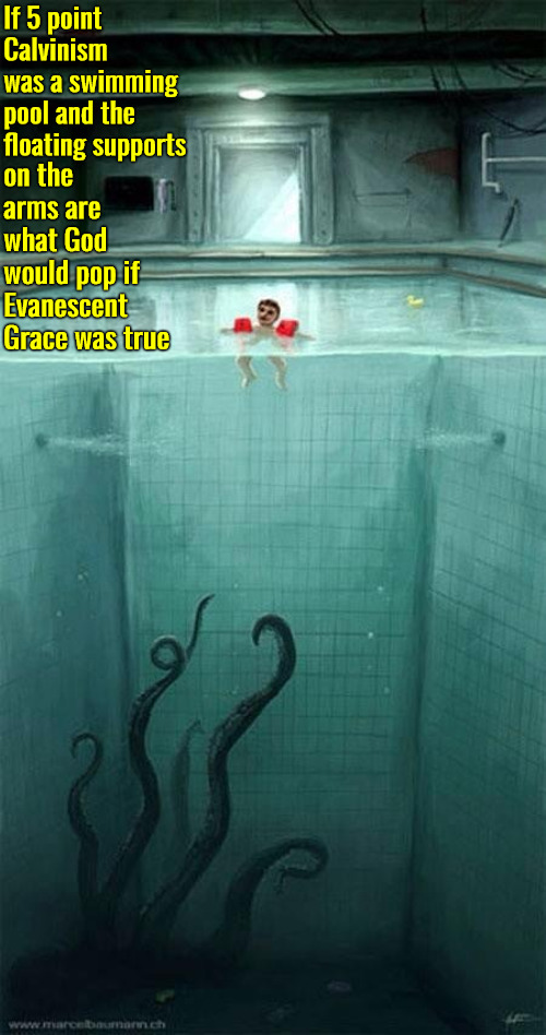 If It Was A Swimming Pool | If 5 point Calvinism was a swimming pool and the floating supports; on the arms are what God would pop if Evanescent Grace was true | image tagged in calvinism,arminian,molinism,reformed theology 5 point calvinists,scary swimming pool | made w/ Imgflip meme maker