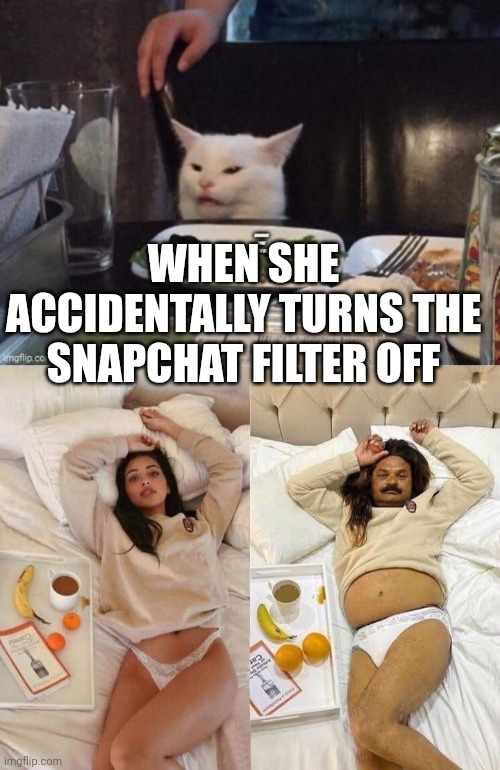 WHEN SHE ACCIDENTALLY TURNS THE SNAPCHAT FILTER OFF | image tagged in smudge that darn cat | made w/ Imgflip meme maker