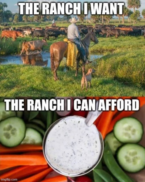 Being Broke is No Joking Matter | image tagged in vince vance,ranch,cattle,ranch dressing,memes,poverty | made w/ Imgflip meme maker