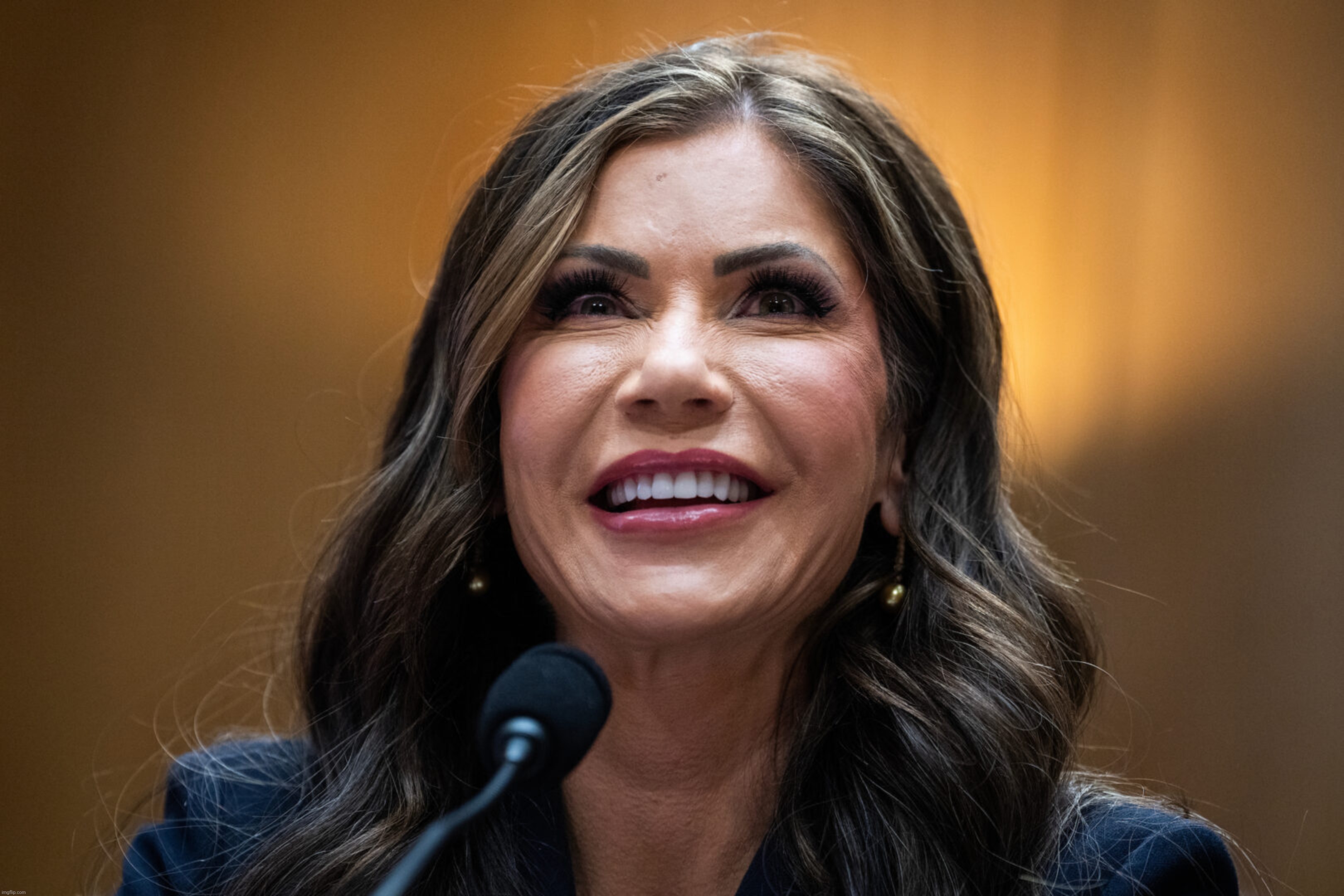 Kristi Noem, absolute dingus of a MAGA DEI hire | image tagged in kristi noem,dei hire | made w/ Imgflip meme maker