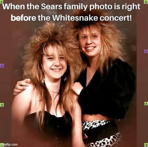 Call me, "Lost in the 80s," but I love Big Hair | image tagged in vince vance,big hair,whitesnake,rock concert,glam rock,family photo | made w/ Imgflip meme maker