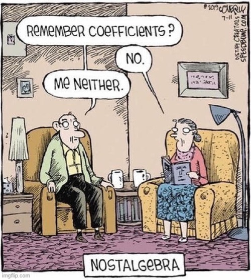 Making it through Life without using Algebra once | image tagged in vince vance,math,algebra,nostalgia,cartoon,old people | made w/ Imgflip meme maker