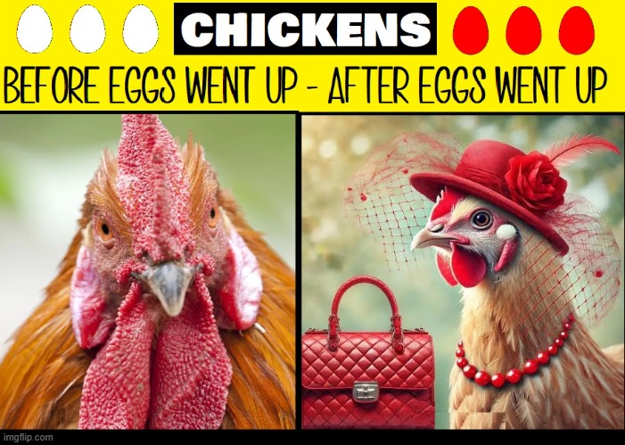 "These days, I have more say on who I sleep with." —Henrietta Henley | image tagged in vince vance,chickens,eggs,inflation,memes | made w/ Imgflip meme maker