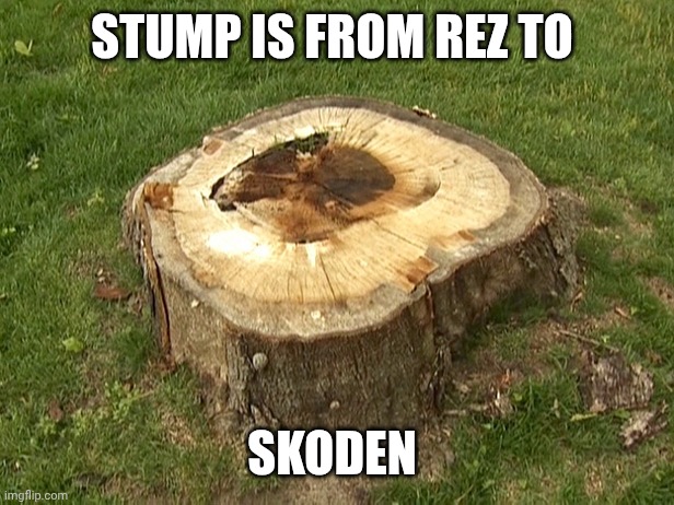stump | STUMP IS FROM REZ TO; SKODEN | image tagged in stump | made w/ Imgflip meme maker