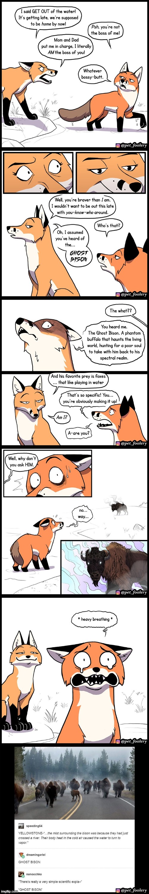 image tagged in foxes,water,ghost,bison,scared,uh oh | made w/ Imgflip meme maker