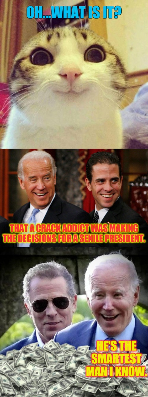 More Scandal And Cover Up From The Biden Administration | OH...WHAT IS IT? THAT A CRACK ADDICT WAS MAKING THE DECISIONS FOR A SENILE PRESIDENT. HE'S THE SMARTEST MAN I KNOW. | image tagged in memes,smiling cat,hunter biden crack head,hunter biden and cash,joe biden,politics | made w/ Imgflip meme maker