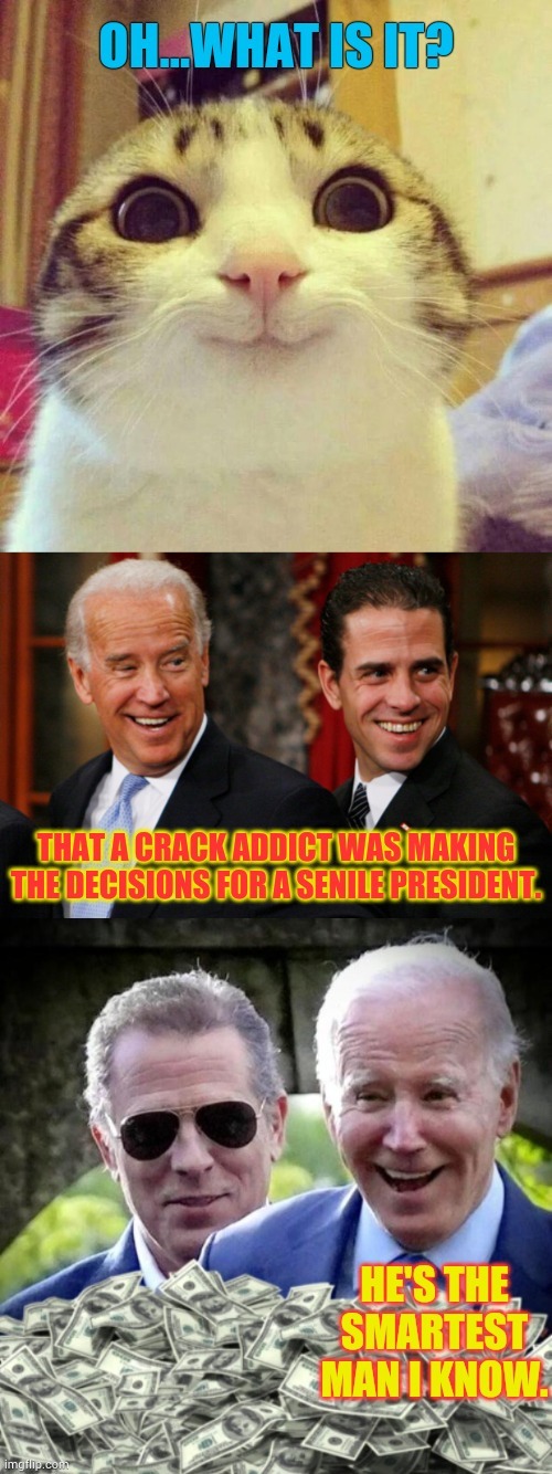 More Scandal And Cover Up From The Biden Administration | image tagged in memes,crackhead,hunter biden,making,decisions,president_joe_biden | made w/ Imgflip meme maker